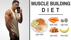 Top 5 Best Foods to Build Muscle