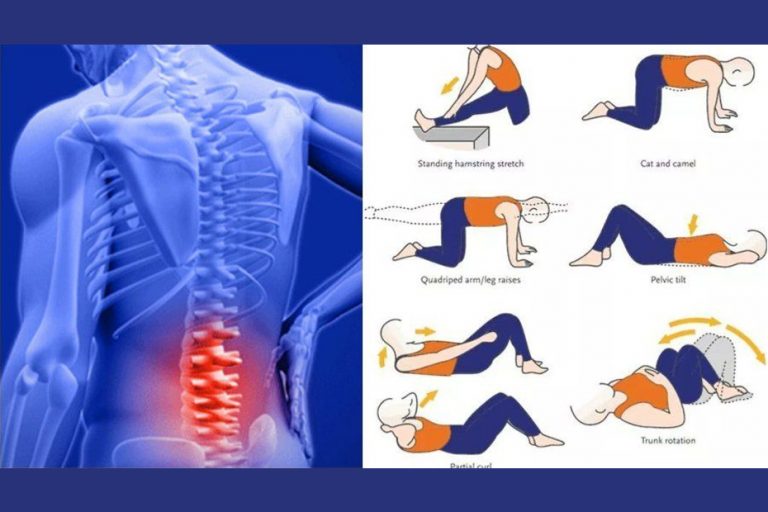 low back pain exercises